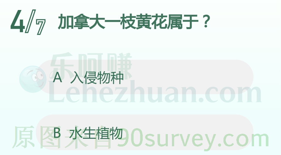 加拿大一枝黄花属于入侵物种 加拿大一枝黄花属于入侵物种