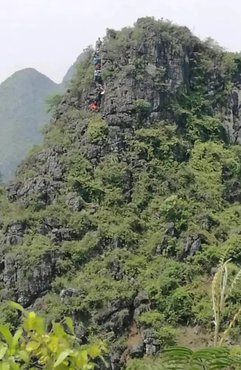 这几天刷屏的广西人祭祖拜山有多拼,其他省份兄弟姐妹看几张图简单