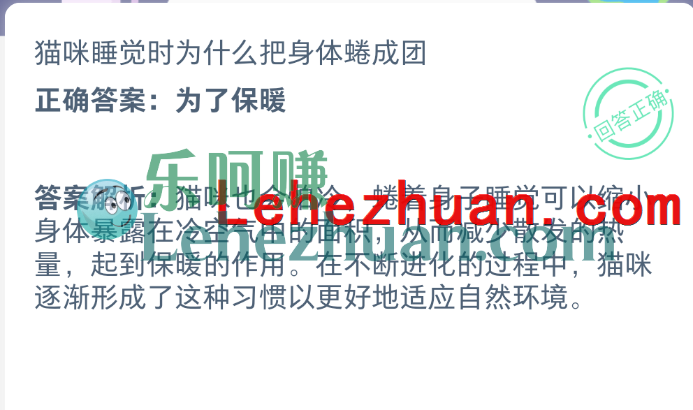 猫咪睡觉时为什么把身体蜷成团