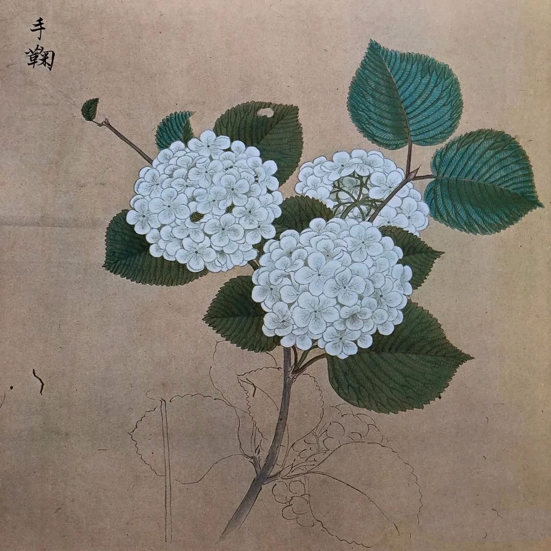 近卫家熙(日本)书法绘画欣赏