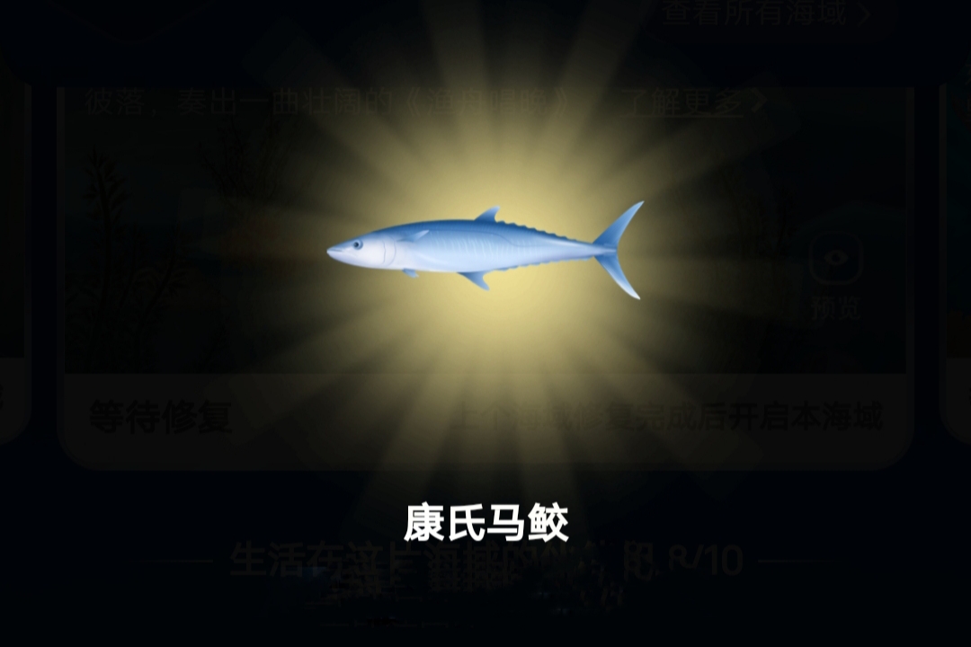 康氏马鲛 近海鱼类
