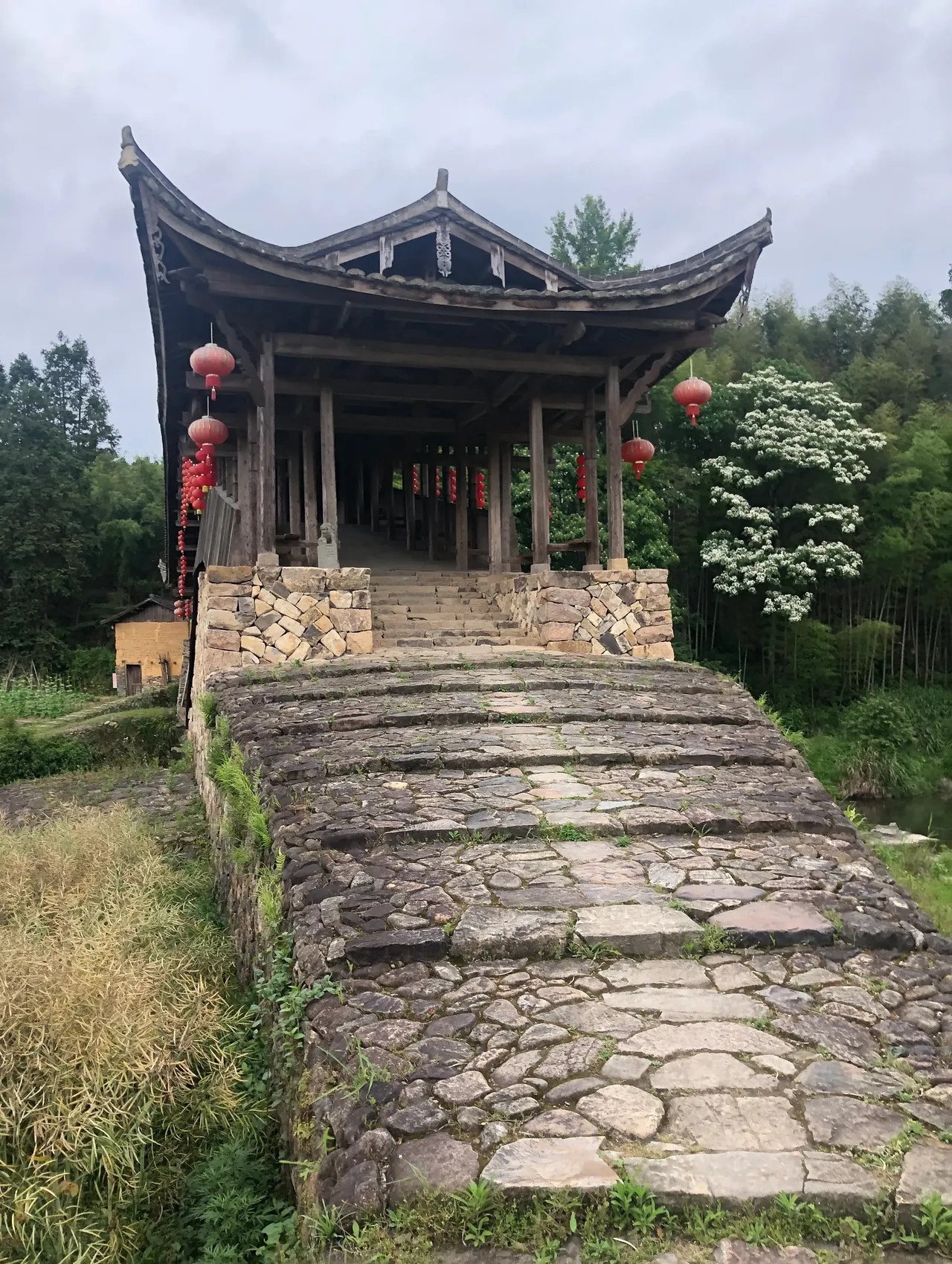 我母亲吃了一辈子的咸,腌雪里蕻,咸鸡咸鸭咸鱼咸鹅