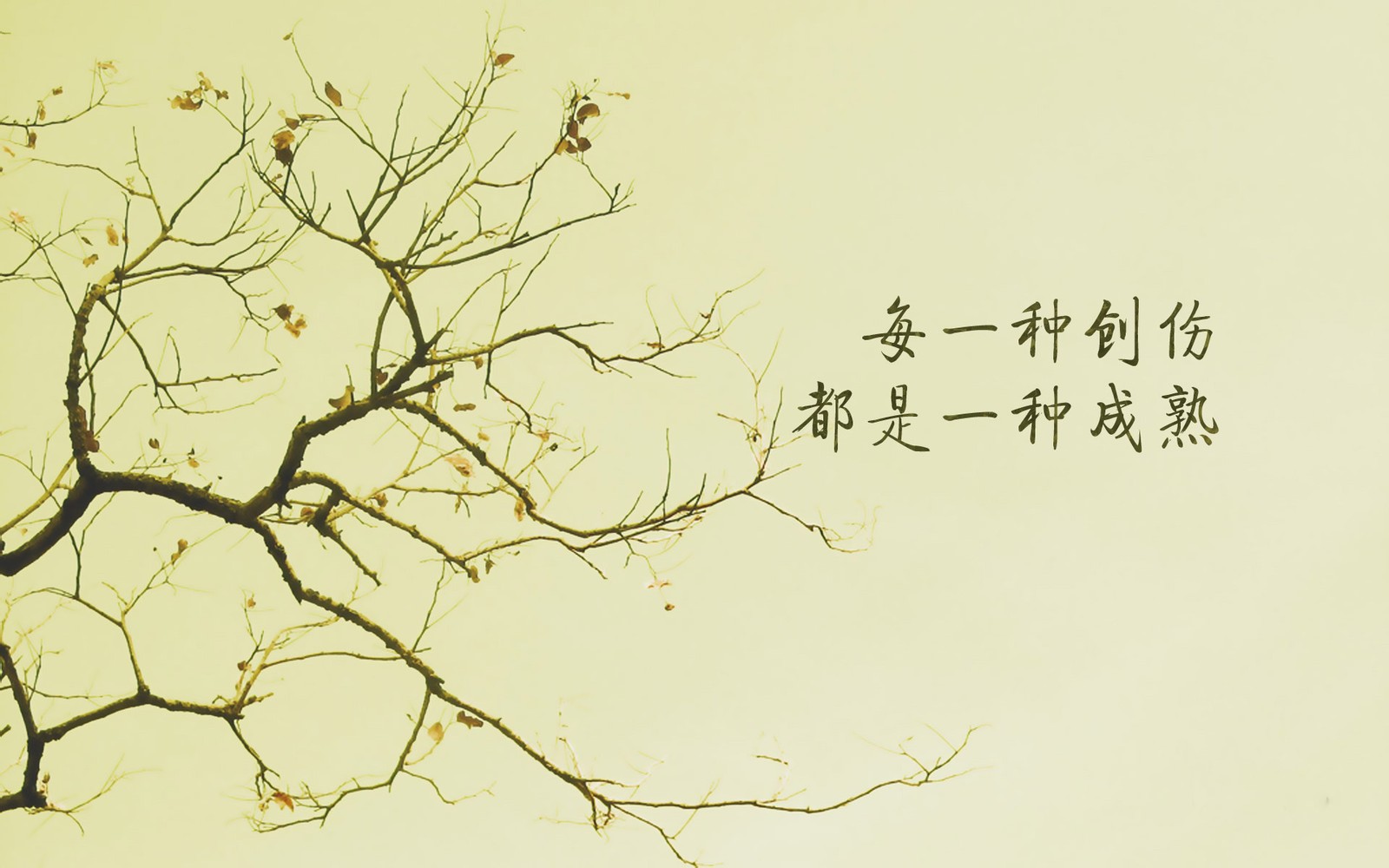 1440*900电脑壁纸文字图片