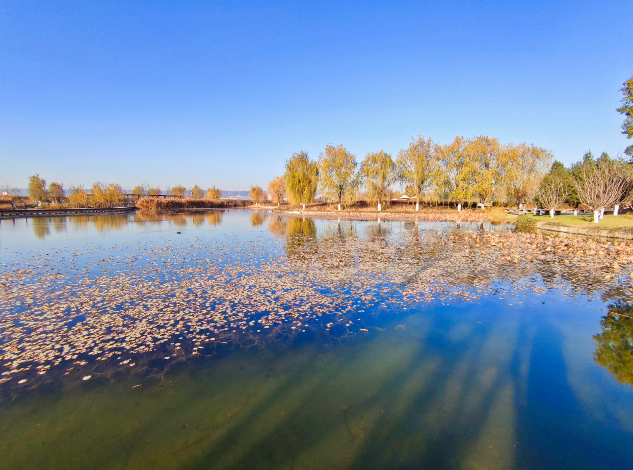 初冬宝鸡太公湖景美如画