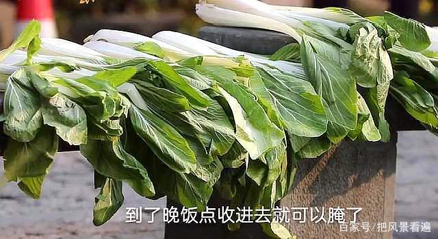 脚踩咸菜图片