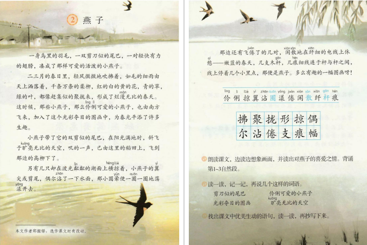 小学语文教资面试《燕子》教案 逐字稿