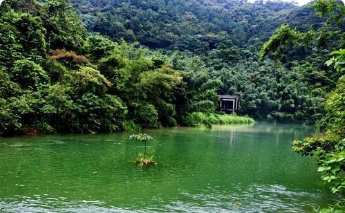 好去處,肇慶市旅遊景點-紫雲谷,網上有個直呼:美極了!