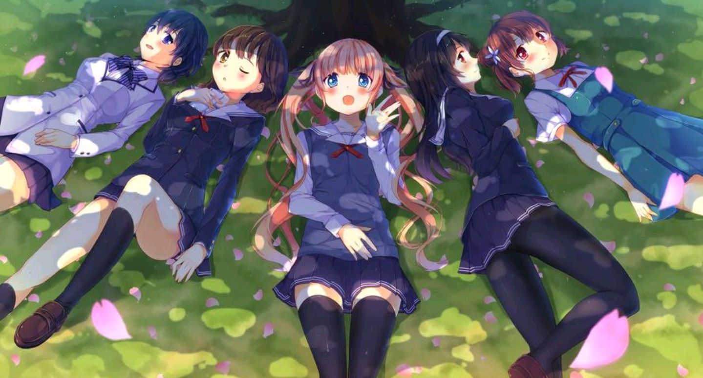 今日动漫推荐路人女主的养成方法