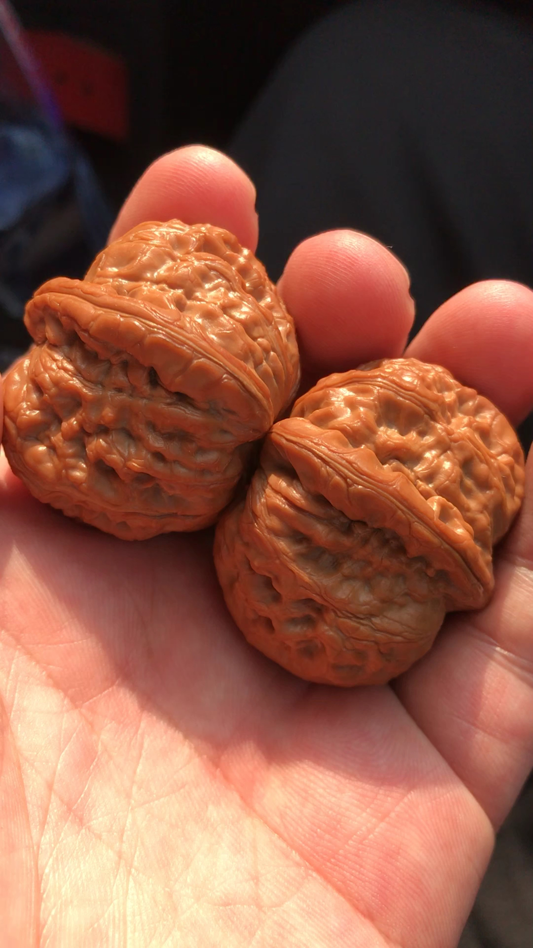平谷元宝核桃,手一搓滋滋冒油!
