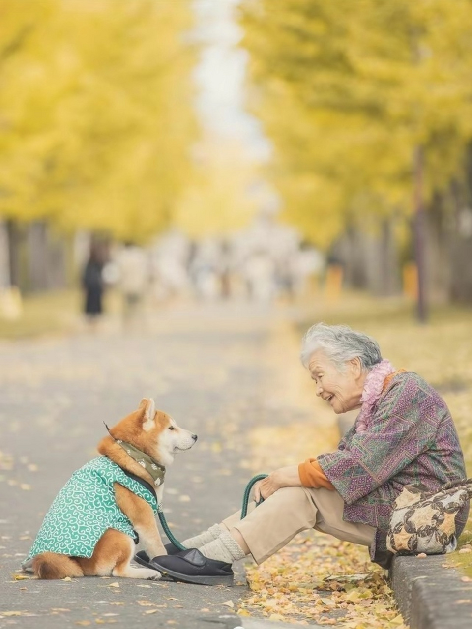 狗儿和爷爷