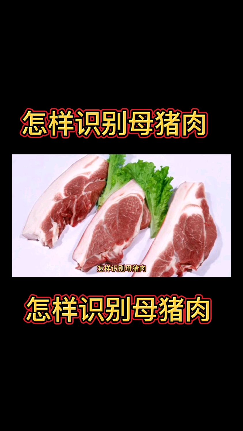 生活小妙招怎样识别母猪肉
