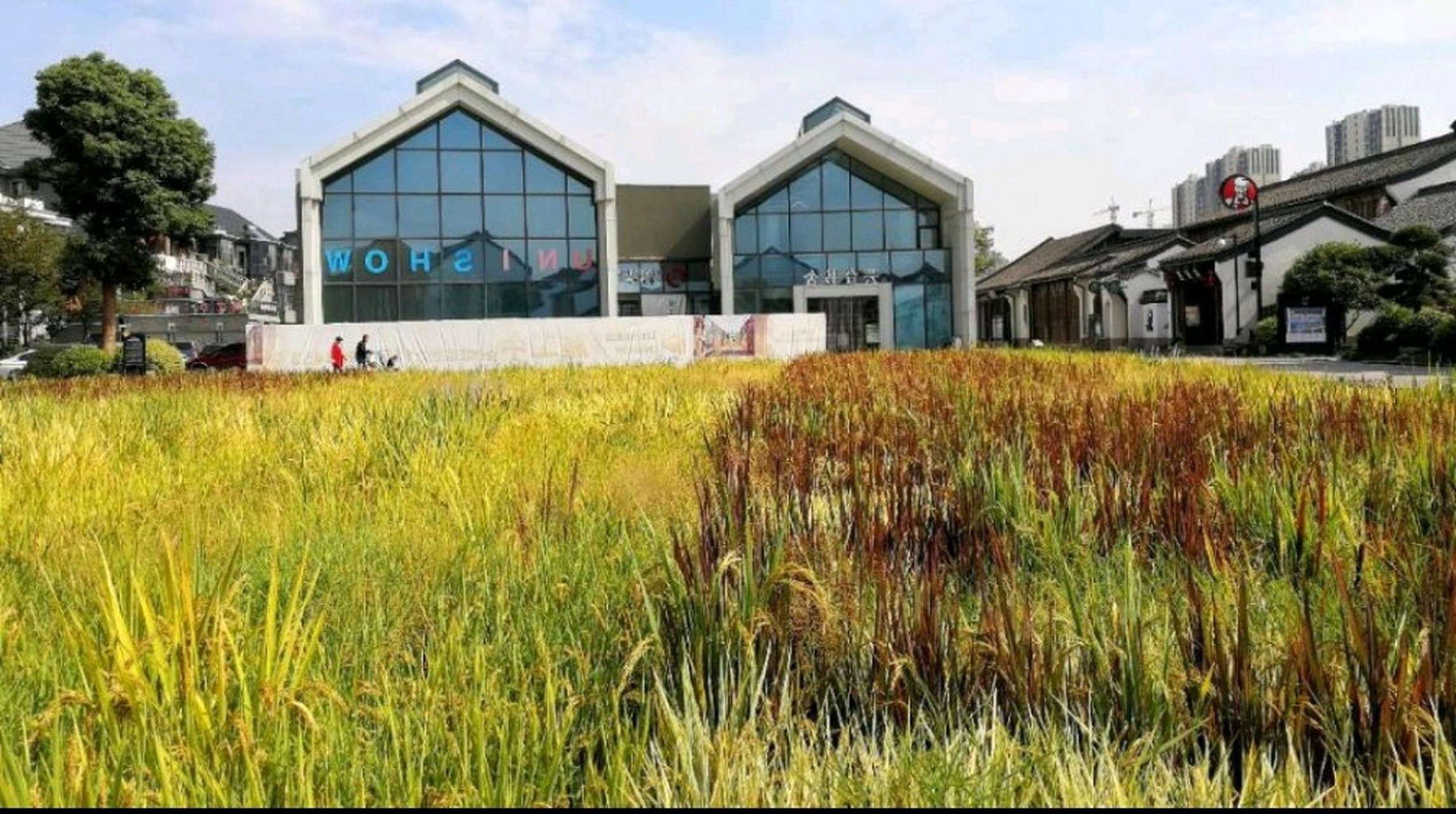 杭州梦想小镇,一个如诗如画的梦想家园.在这里,你可以漫步在青石板的