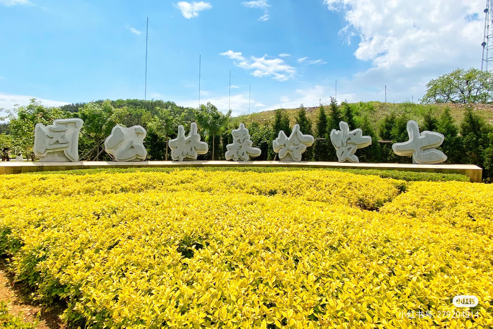 七贤岭森林公园停车图片