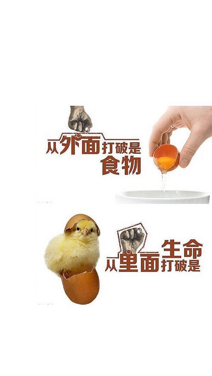 人生,从外打破面临毁灭,从内打破你将重生! 早上好,加油!