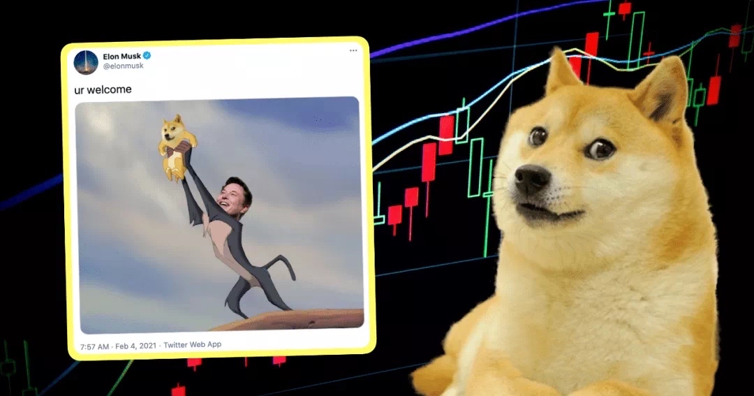 doge狗狗幣是馬斯克自導自演的金字塔騙局嗎?