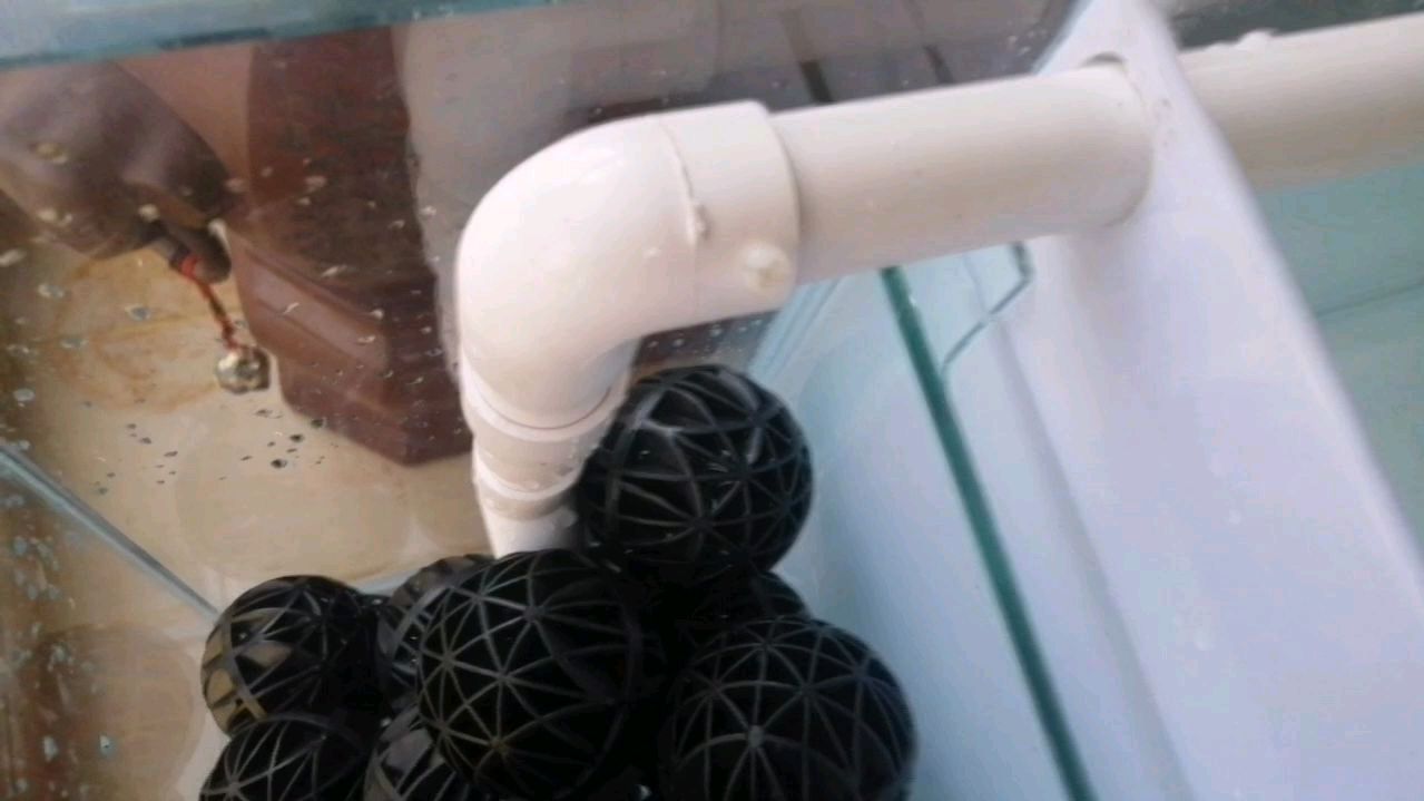 怪不得马公做缸那样有名,看看他鱼缸细节的处理,让人折服