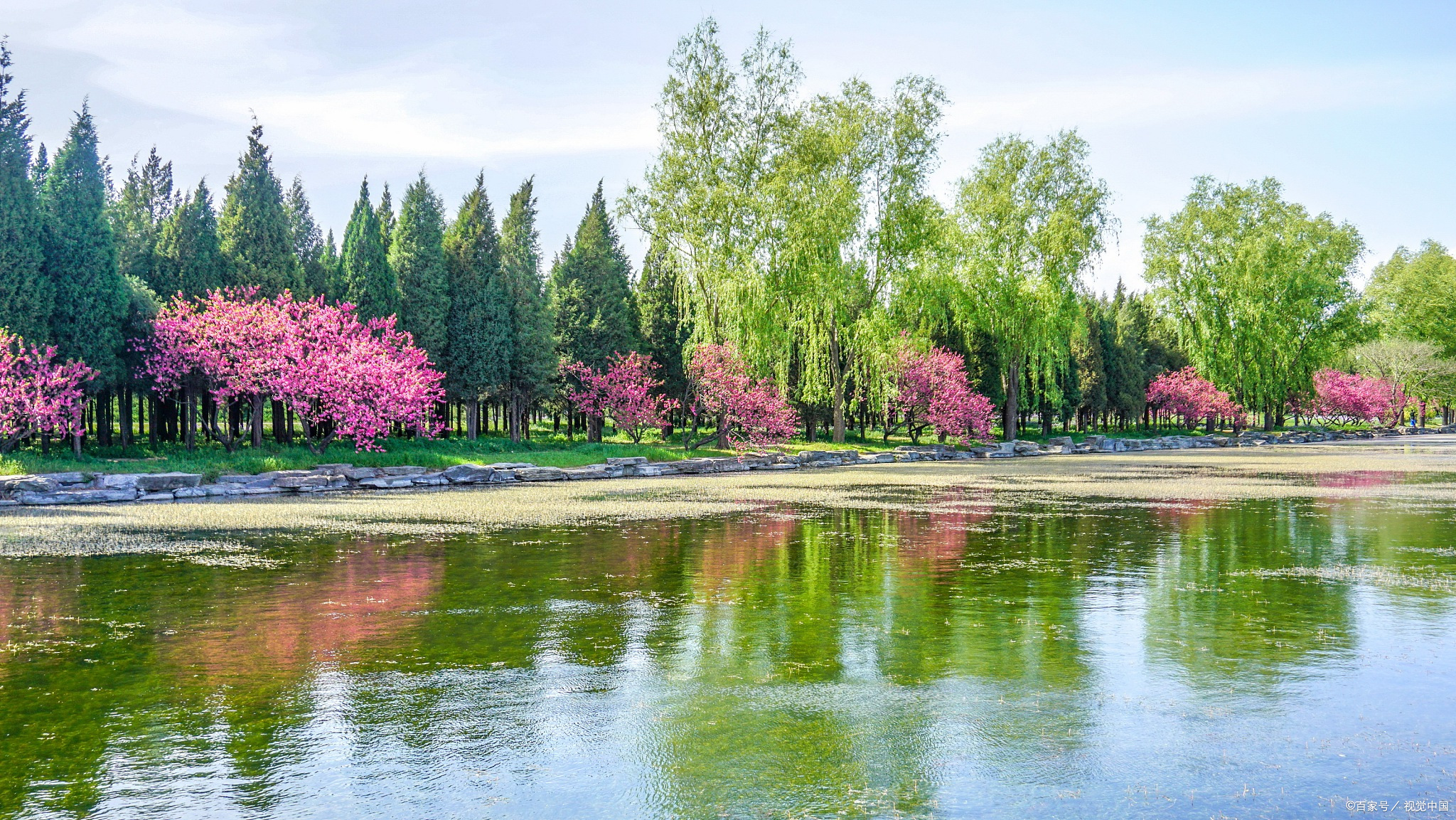 萌娃宸宝带给我的感动瞬间