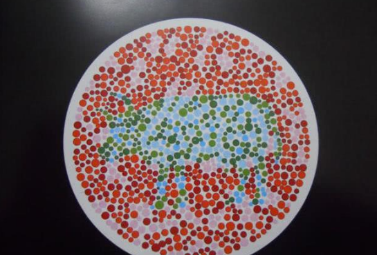 4种"动物"色盲检测图:其中有一张是骆驼,不知道你认出来没有