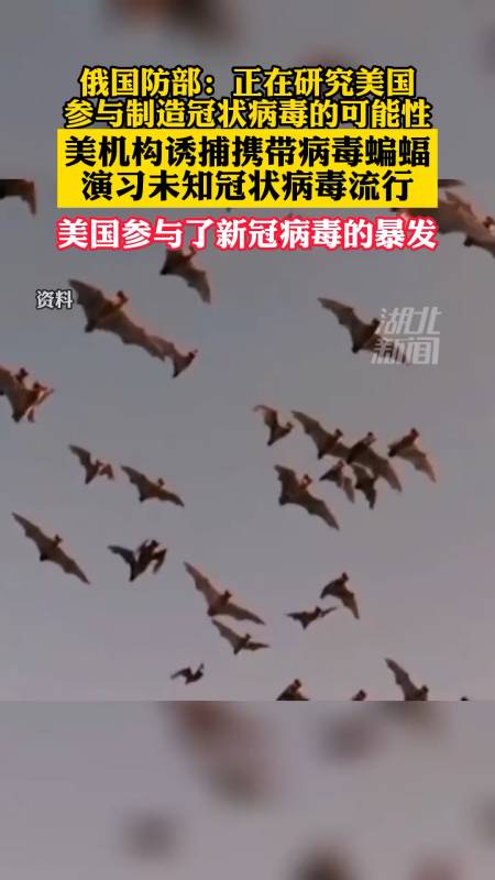 俄国防部:新冠病毒的出现具有蓄意性,美国参与了该病的暴发(湖北新闻)