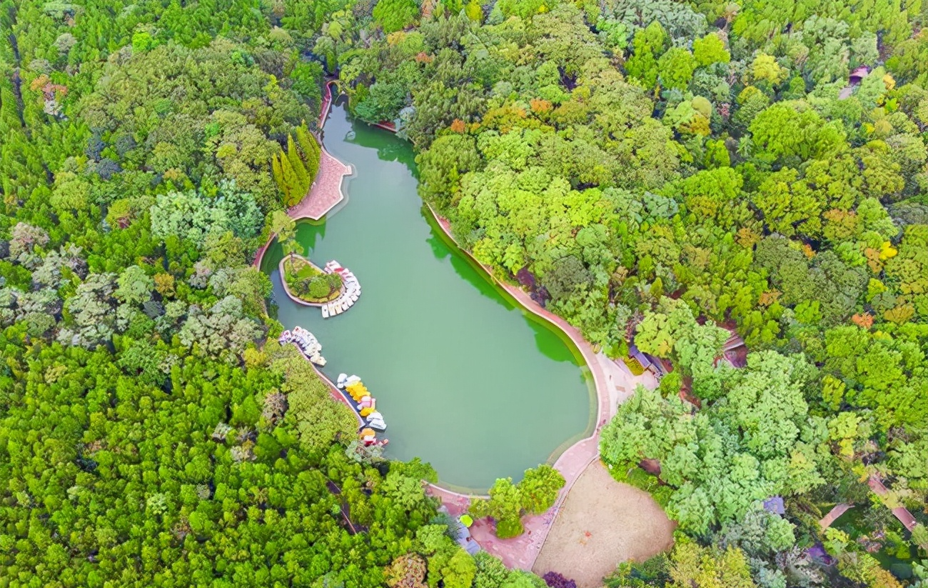 安徽小众景区走红,风景秀丽设施完善——相山公园,你知道吗?