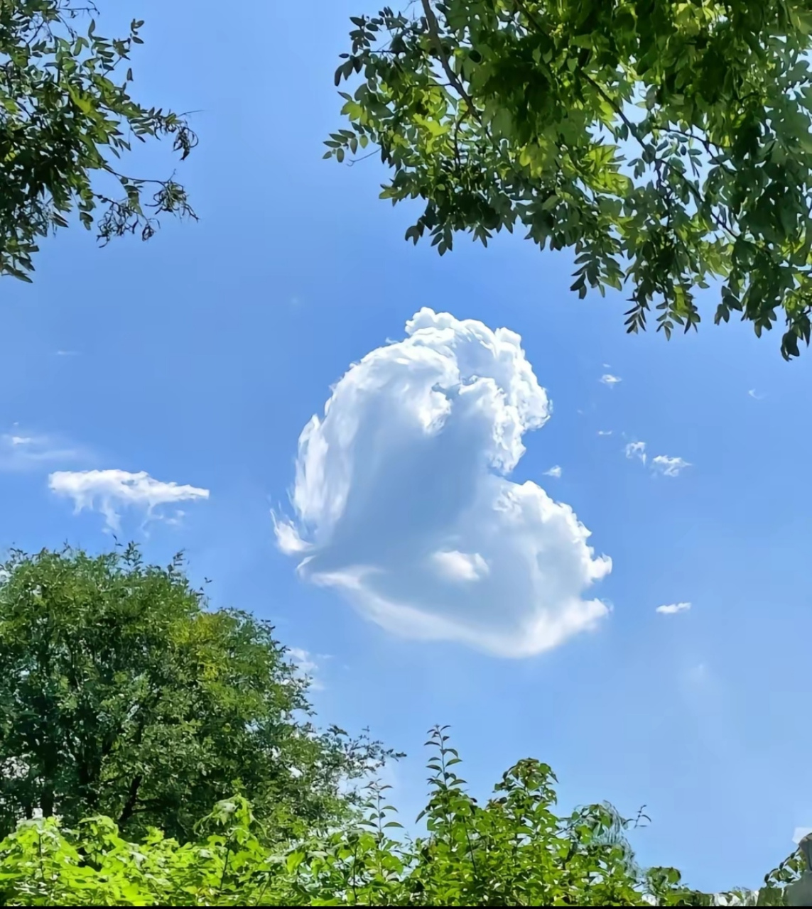 天空照片白云朵朵图片