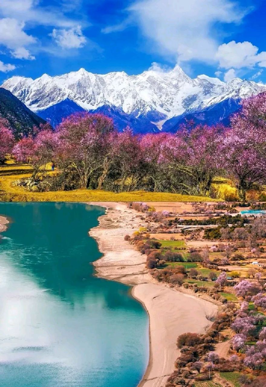 林芝桃花很快开了,有哪些最佳观赏地点:  7415波密桃花沟:波密