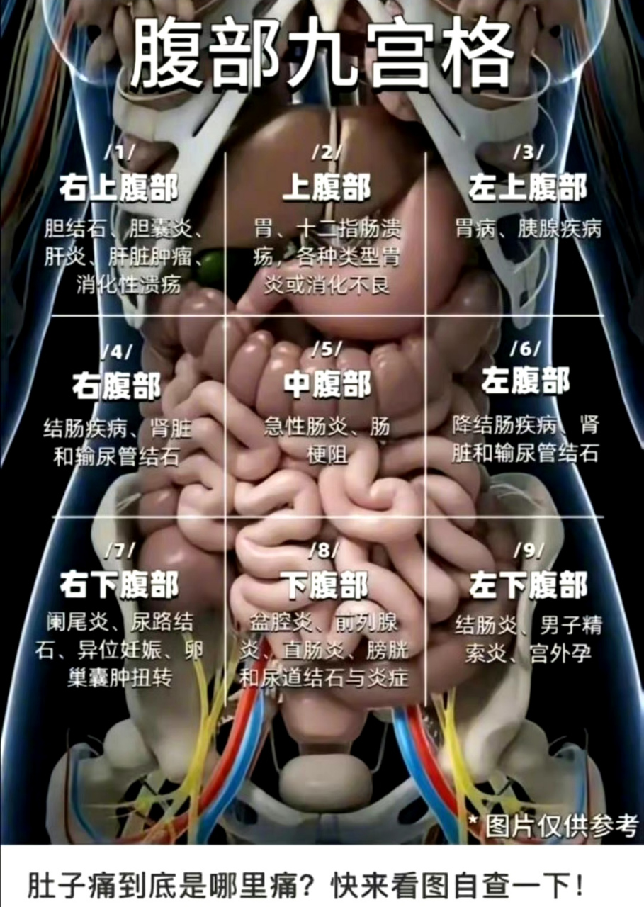 遇见好身材# #中年而已# 对应跑步痛的位置就知道是什么地方了!