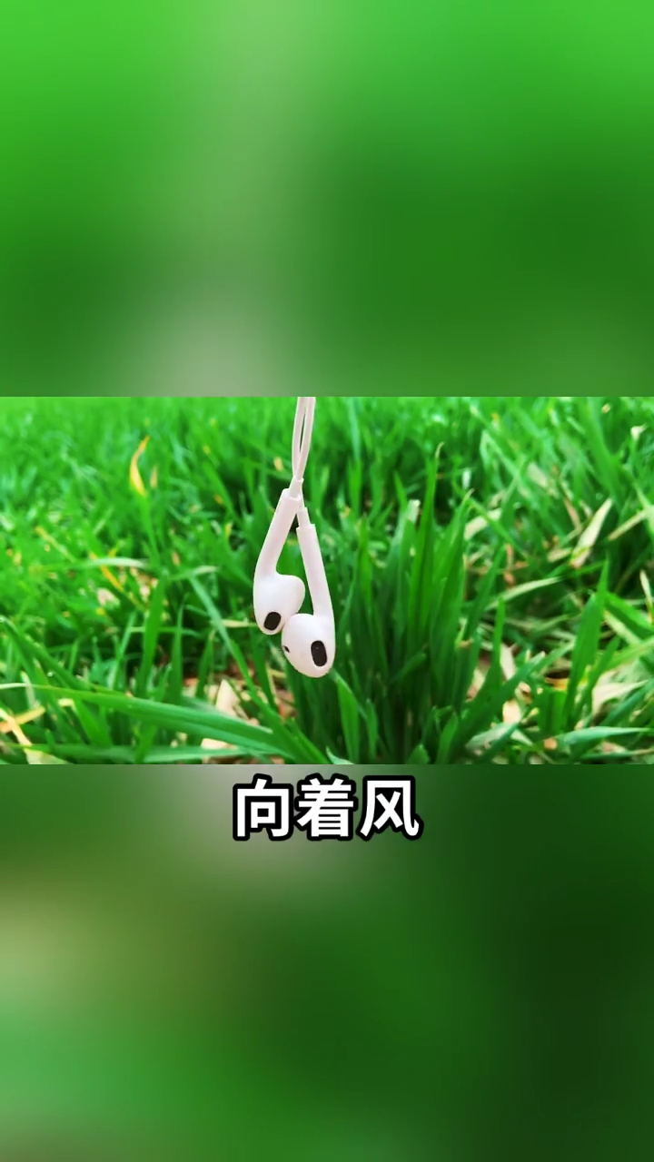 向着风,拥抱彩虹,勇敢地向前走