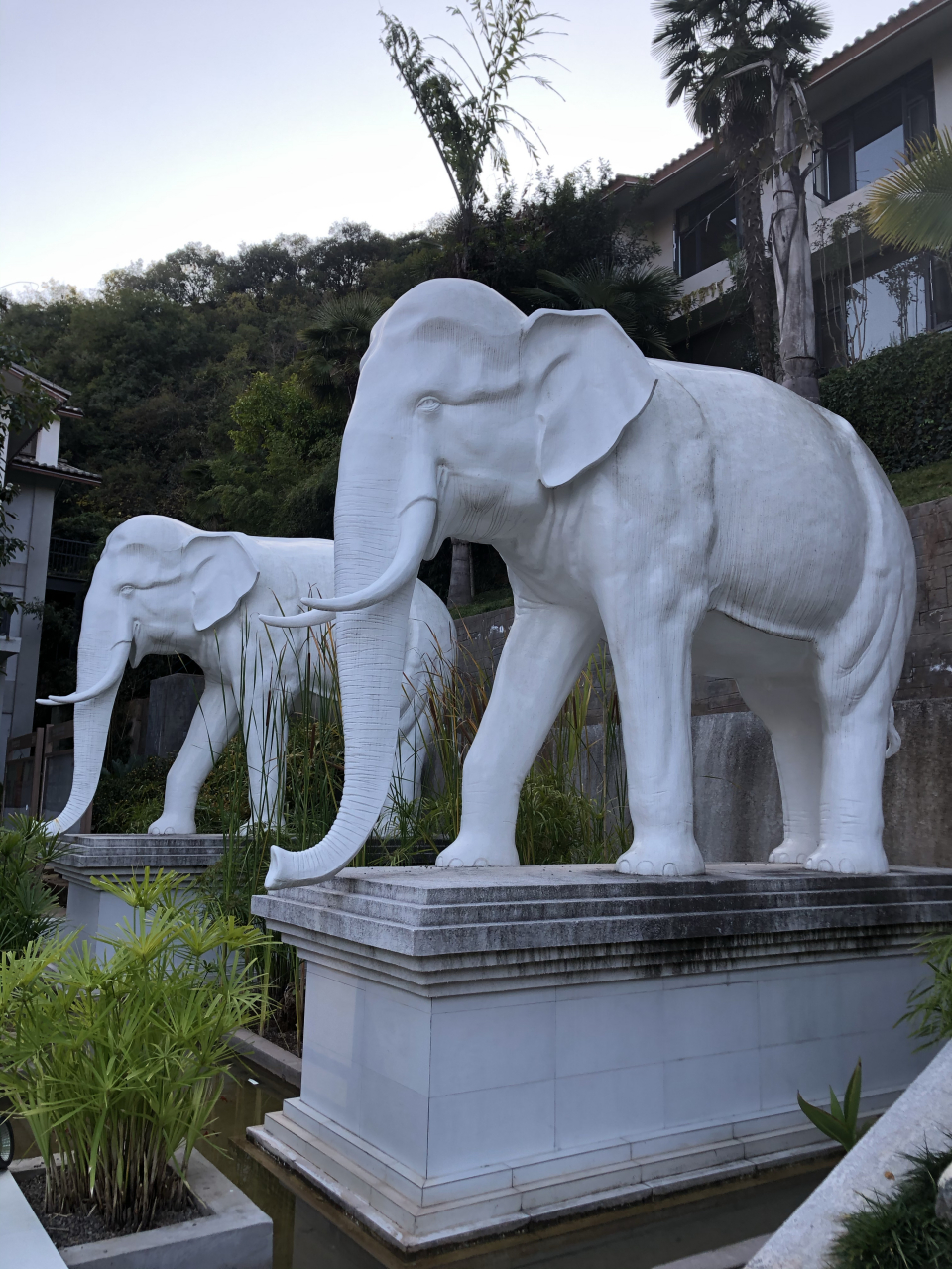 【云南玉溪象鼻山温泉】 象鼻山温泉位于玉溪华宁县城12公里处的大山
