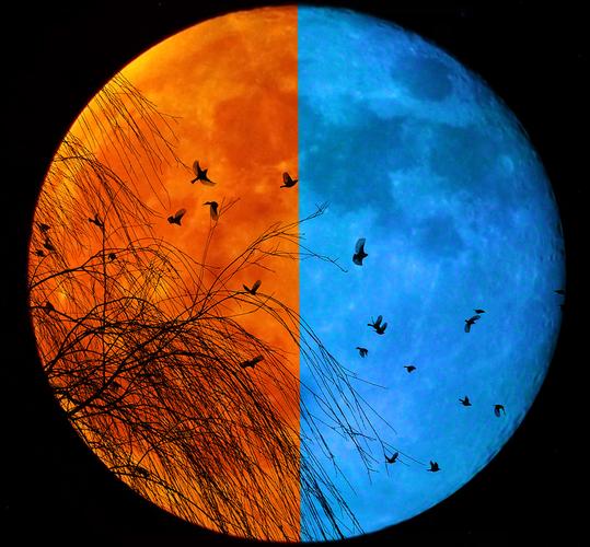 人事物具有两面性,不能只要一面,不要另一面