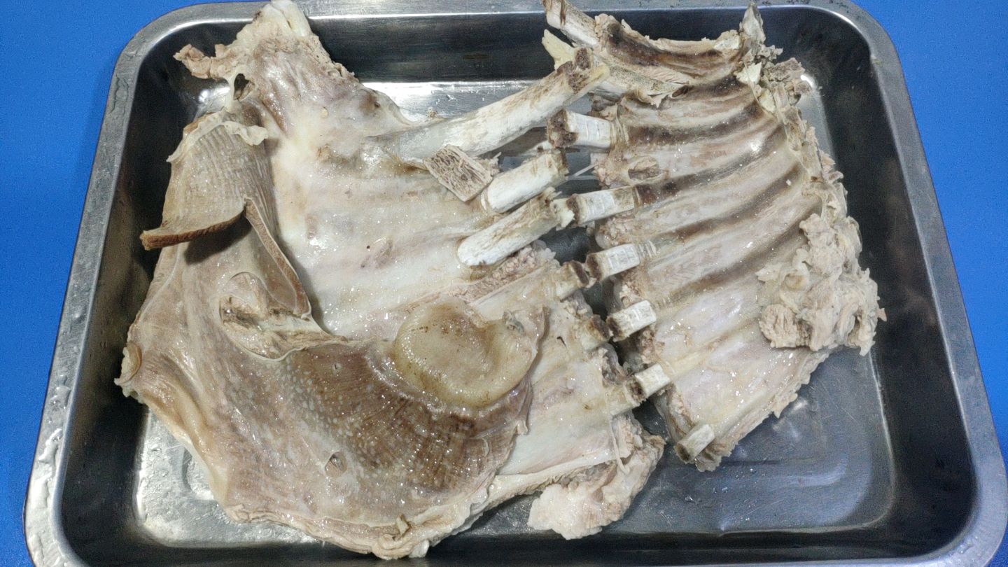 连盐都不放的水煮羊肉 这才是手把羊肉的正宗做法