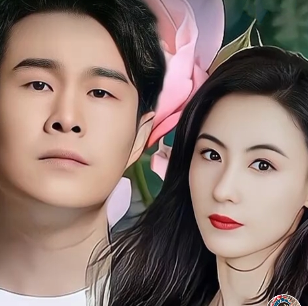 张柏芝与小沈阳的演出风波—正义之举反背锅