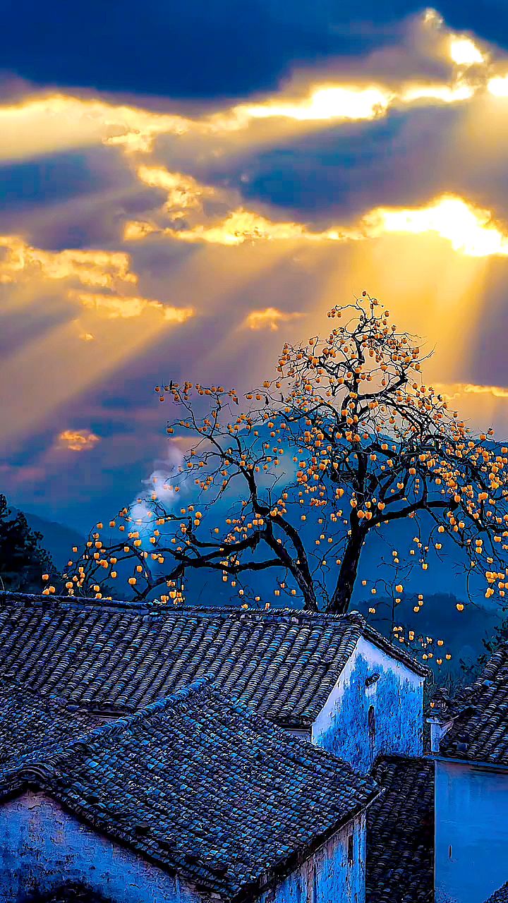 好怀念那个无忧无虑的年代,到处充满着烟火气息