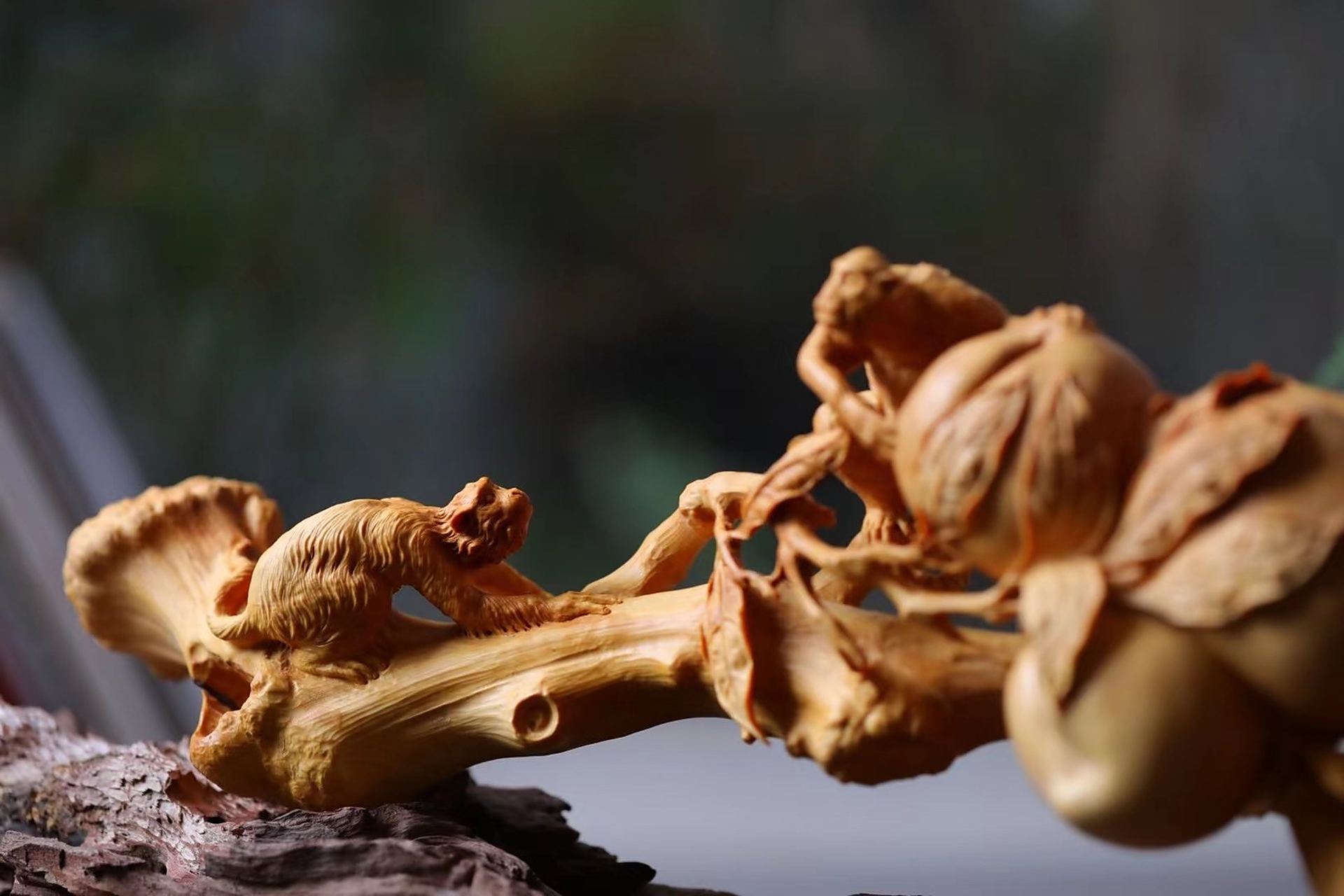 小叶黄杨|灵猴献寿  小叶黄杨木雕,整料一体,细节处理到位,名师全手工