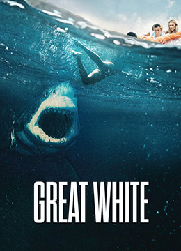 大浪白鲨