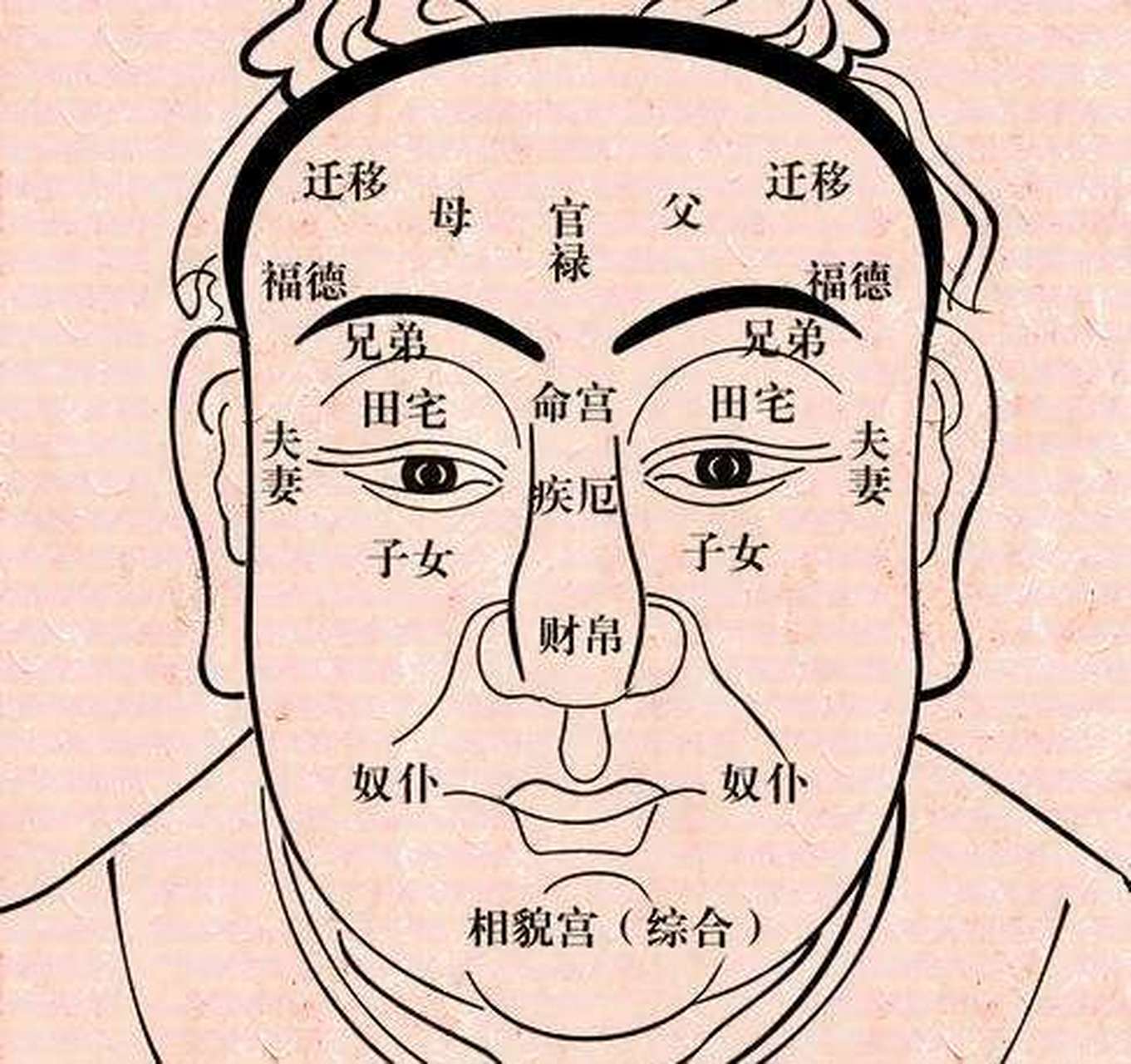 此部位丰满隆起的人,人生得意无忧愁.