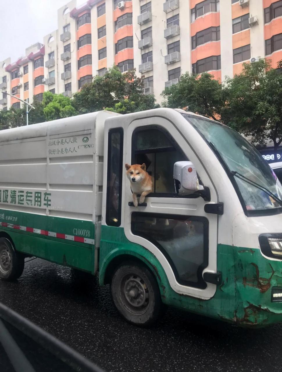 路过的时候忍不住啧啧啧[左捂脸]