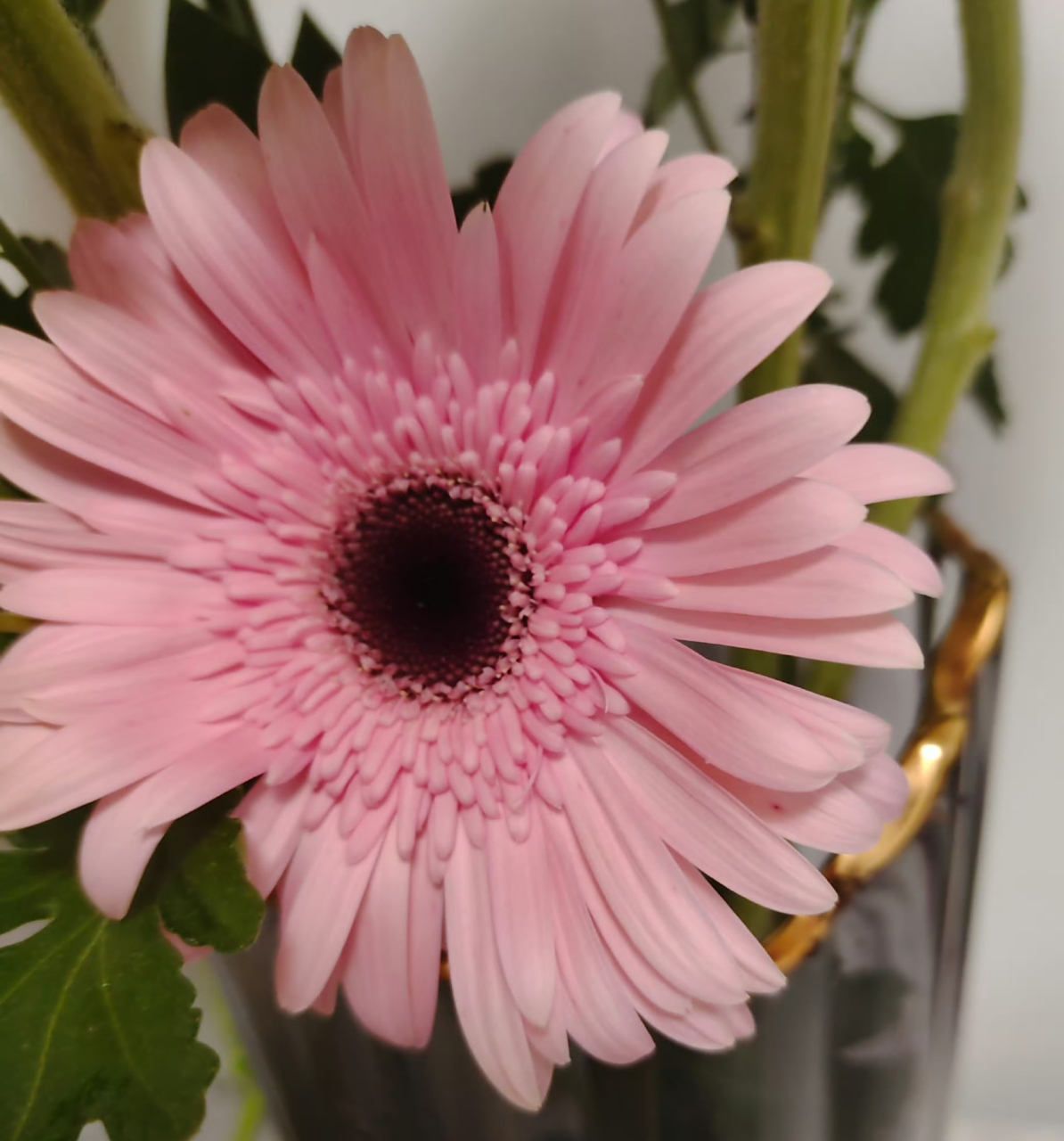 每件事情都要用心 如果都不能称心如意 那么就用摆烂去看待 这样会