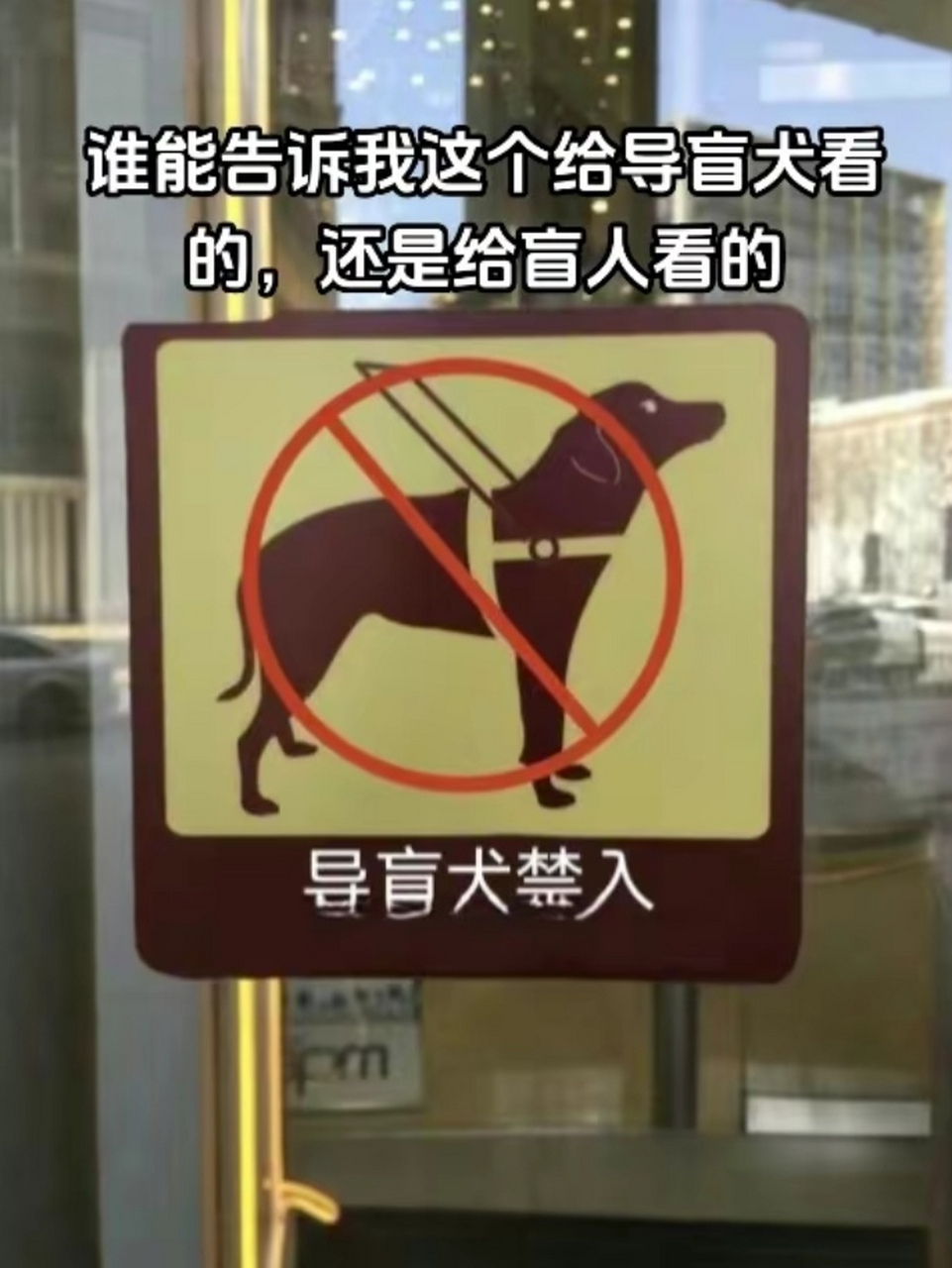 谁能告诉我:这个是给导盲犬看的,还是给盲人看的?