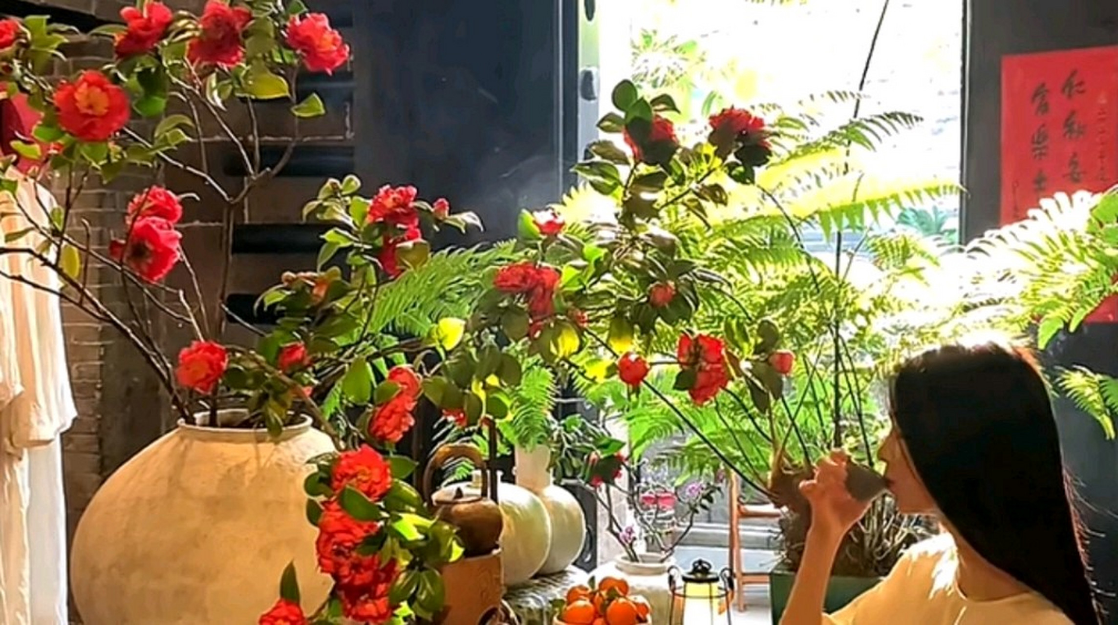 修蓝博士用这个"荷欧波诺波诺"大我意识疗法,行进内心的忏悔,原谅和