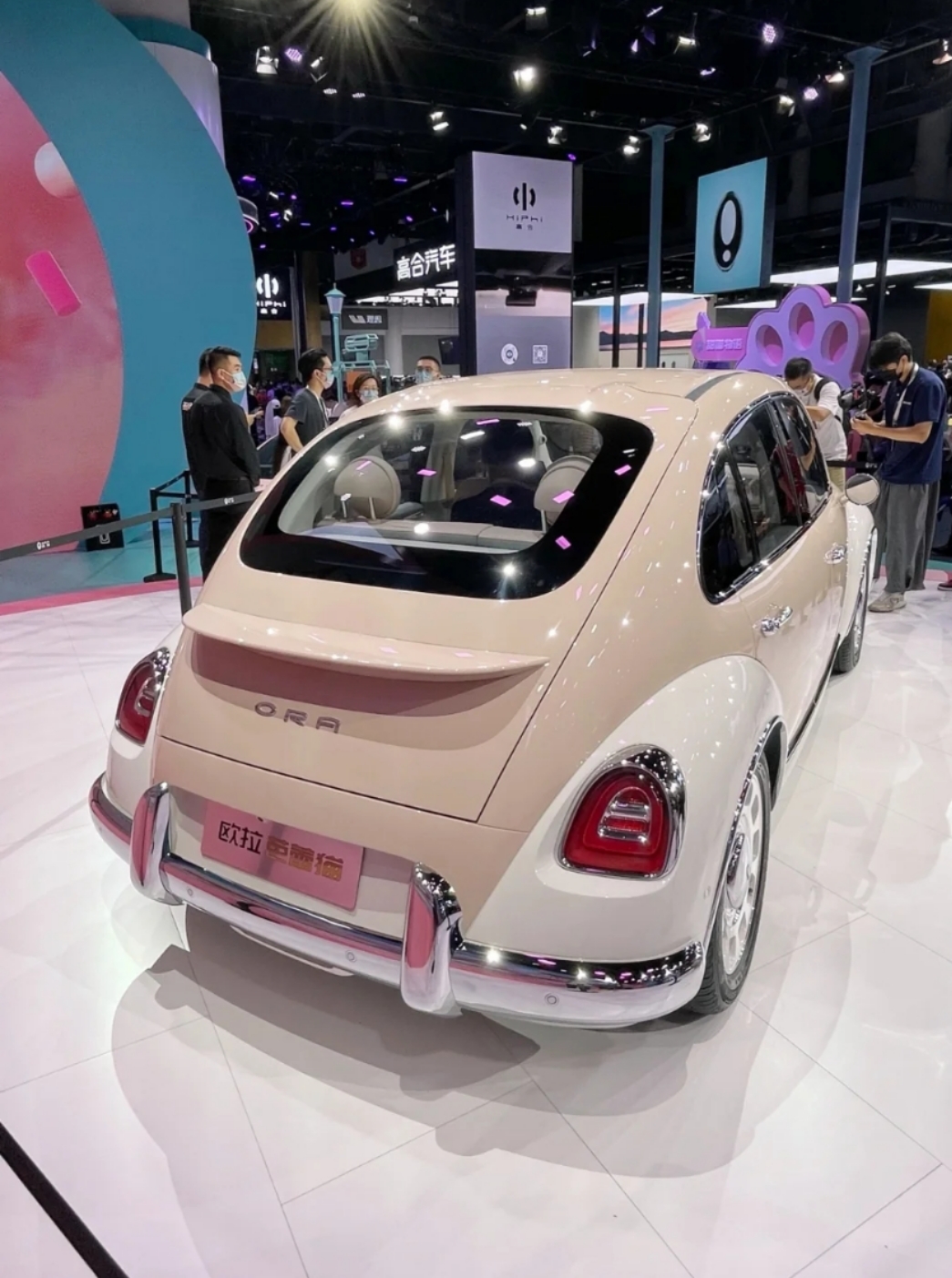 "蕾丝"芭蕾猫!心动了吗?