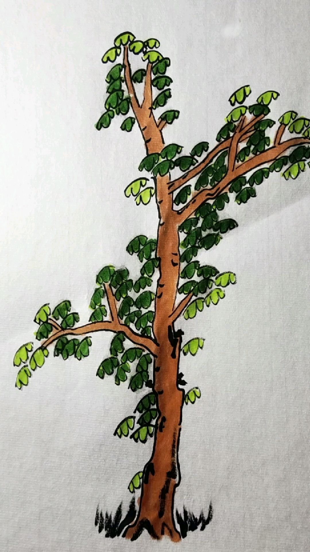 国画树木,夹叶树的画法