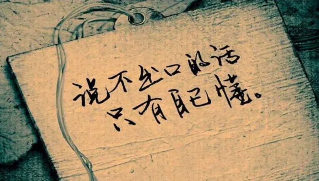 不要再来伤害我