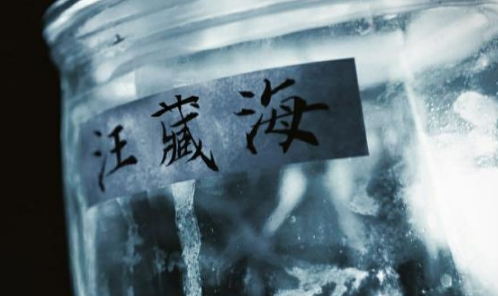 盗墓笔记汪藏海的墓到底在哪里