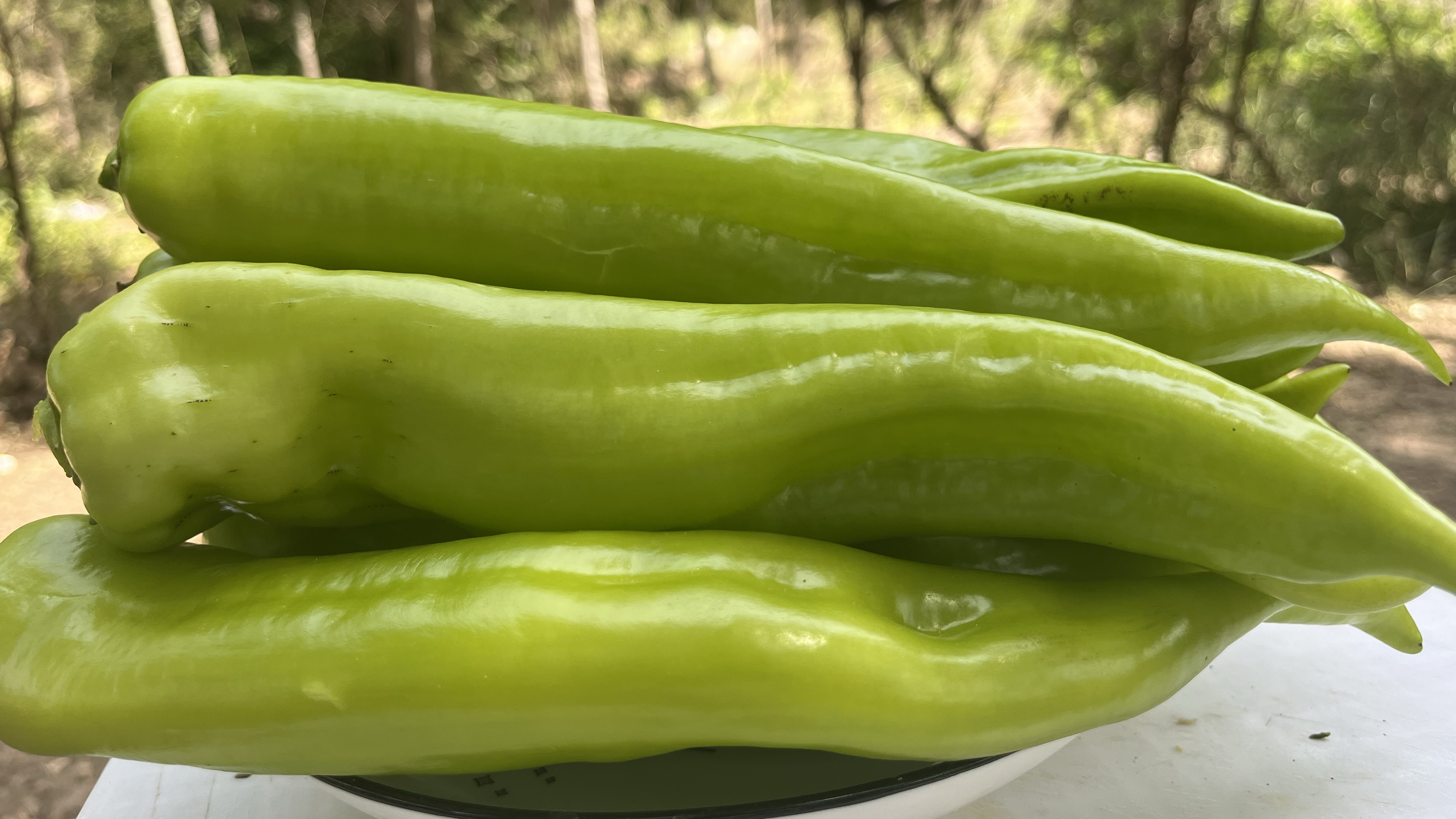 五香辣椒酱拌面真好吃,详细制作在这里,香香的辣辣的