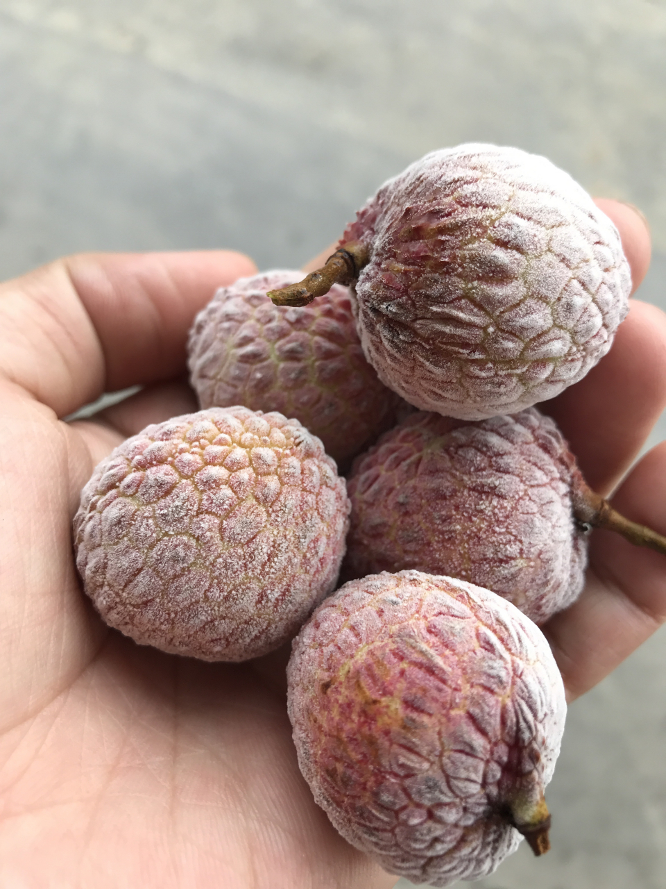 夏日冰爽,冰冻荔枝!