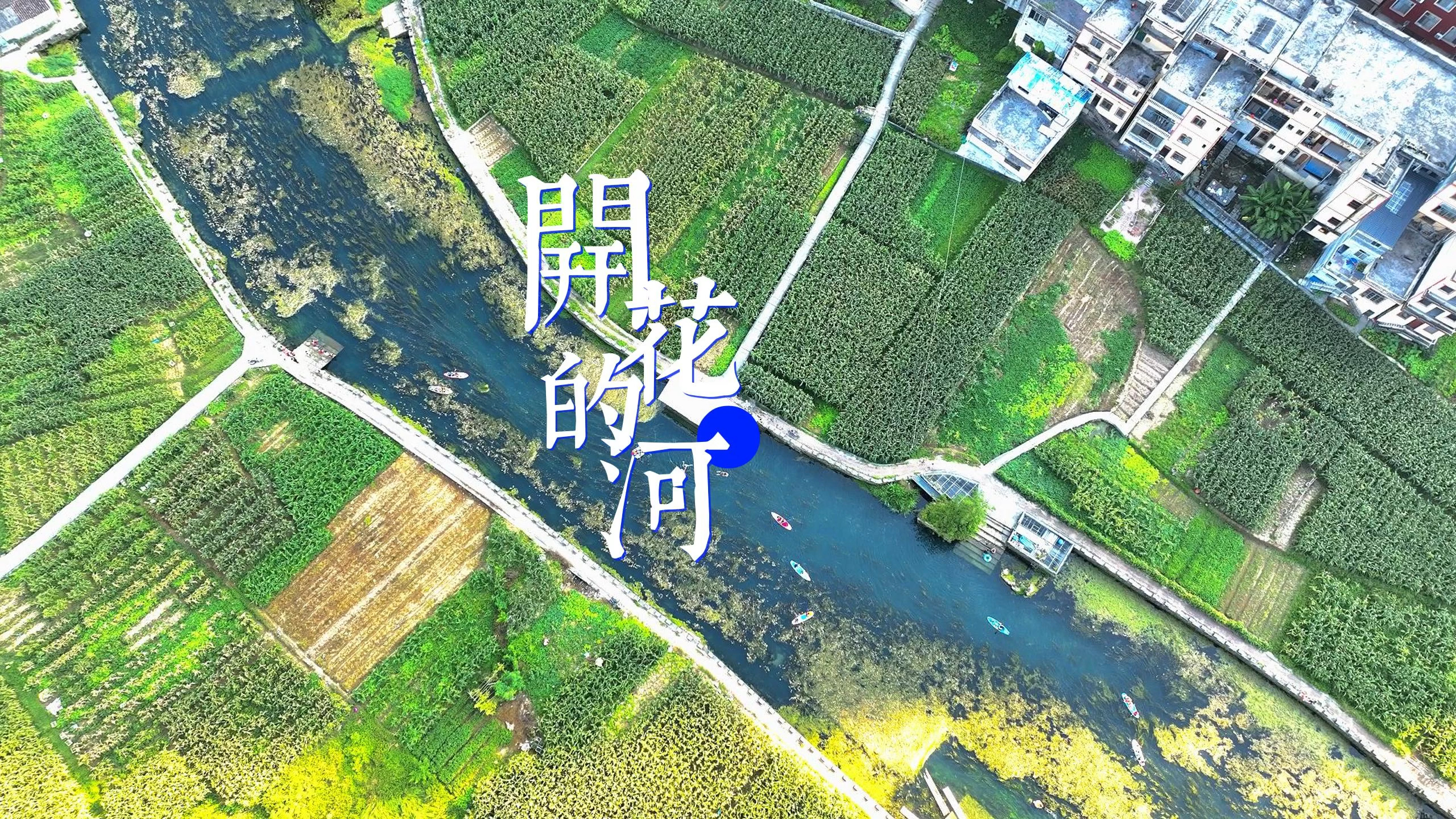 广西一条会开花的河