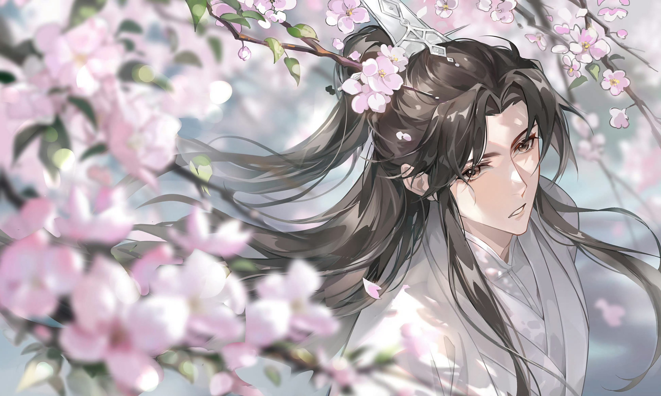 海棠花树下的师尊,楚晚宁绝美[awsl]🌸🌸🌸 lof:毛拖 ​​