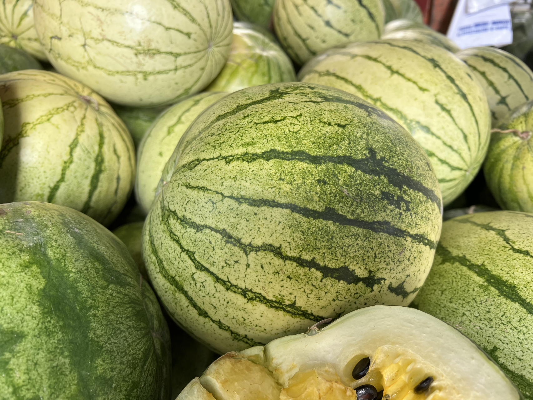 百家说动态# 旅# 大家现在看到的就是兰州特产籽