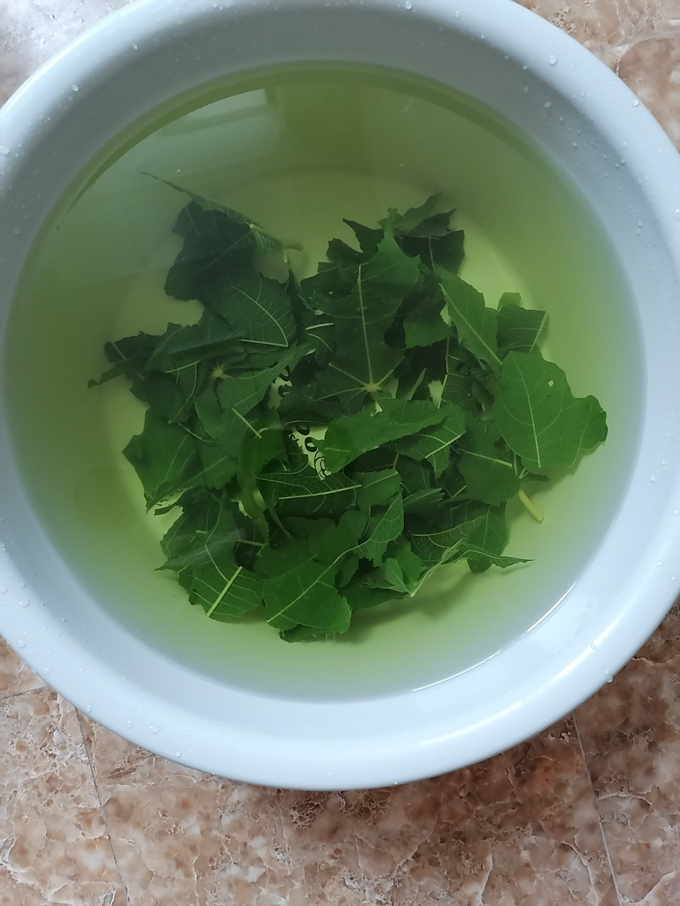 听说痔疮可以用无花果的叶子煮水坐浴治疗,试了一下,效果不理想.